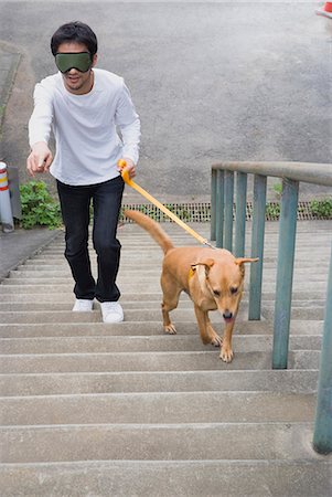 dog walk asian - Young man walking with guide dog Stock Photo - Premium Royalty-Free, Code: 685-02941350