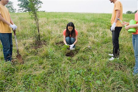 Young people planting tree Stock Photo - Premium Royalty-Free, Code: 685-02941365