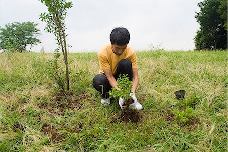 Young man planting tree Stock Photo - Premium Royalty-Free, Code: 685-02941368