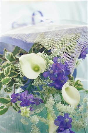 delphinium - Flower bouquet Fotografie stock - Premium Royalty-Free, Codice: 685-02956465