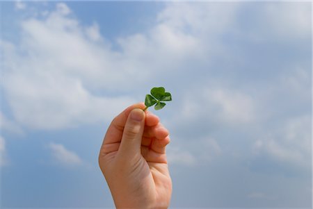 Hand of a girl holding four-leaf clover Foto de stock - Royalty Free Premium, Número: 685-03081255