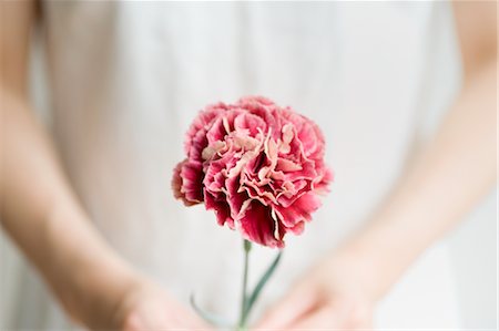 Woman holding carnation flower Foto de stock - Sin royalties Premium, Código: 685-03081980