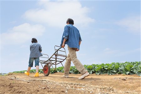 simsearch:685-03082700,k - Father and son carrying wheelbarrow Stock Photo - Premium Royalty-Free, Code: 685-03082698