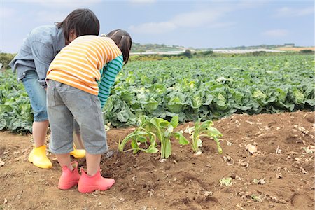 Boy and girl watering field Stock Photo - Premium Royalty-Free, Code: 685-03082706