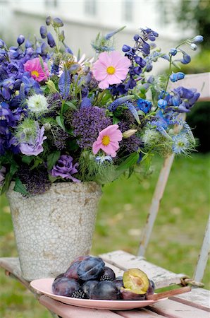 prune (fruit) - Bouquet de fleurs d'été et les prunes sur chaise de jardin Photographie de stock - Premium Libres de Droits, Code: 689-05610253