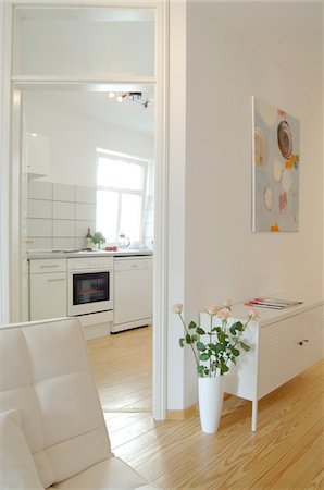 receptacle - Kitchen in modern home Foto de stock - Sin royalties Premium, Código: 689-05610271