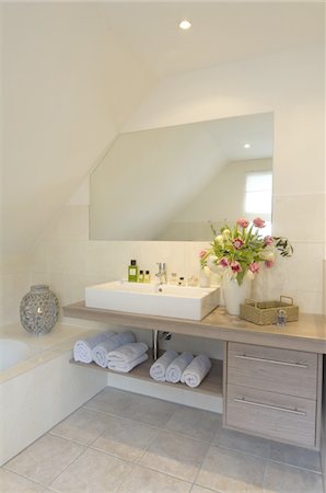 Salle de bains moderne avec bouquet de fleurs Photographie de stock - Premium Libres de Droits, Code: 689-05610754