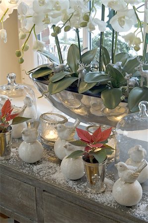 porcelain - Plants and Christmas decoration in windowsill Stock Photo - Premium Royalty-Free, Code: 689-05610769