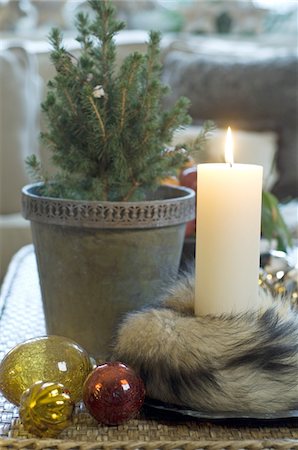 Burning candle and potted plant Stock Photo - Premium Royalty-Free, Code: 689-05610792