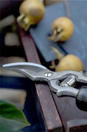 Garden shears and fruits Stock Photo - Premium Royalty-Free, Code: 689-05610878