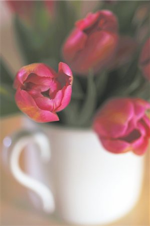 porcelain - Blooming tulips Stock Photo - Premium Royalty-Free, Code: 689-05610897