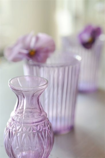 Flower in a glass Photographie de stock - Premium Libres de Droits, Le code de l’image : 689-05611226