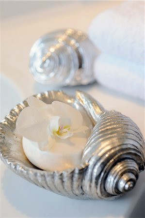 silver textures - Décoratif shell coquille et escargot Photographie de stock - Premium Libres de Droits, Code: 689-05611276