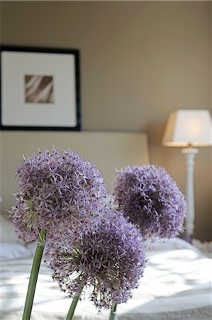 purple floral pattern - Bedroom with ornamental Allium Stock Photo - Premium Royalty-Free, Code: 689-05611285