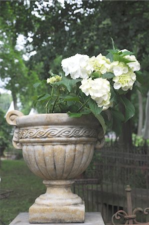 simsearch:689-05611159,k - Amphore avec hortensia Photographie de stock - Premium Libres de Droits, Code: 689-05611377