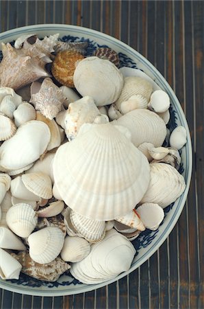 simsearch:689-05612687,k - Decorative seashells Stock Photo - Premium Royalty-Free, Code: 689-05611417