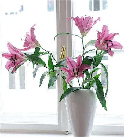 decoration flowers germany - Pink lilies at the window Stock Photo - Premium Royalty-Free, Code: 689-05611526