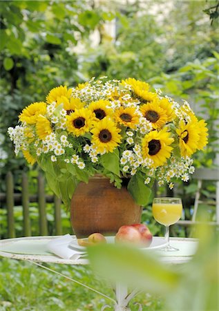 Bunch of flowers and fruit on garden table Foto de stock - Sin royalties Premium, Código: 689-05611556