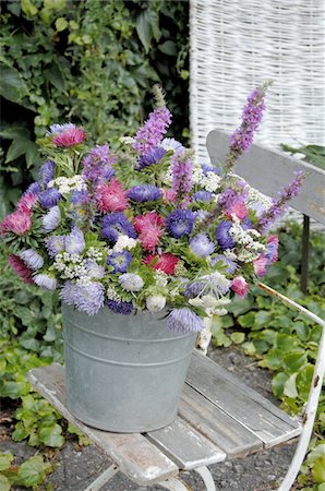 pail - Colorful bunch of flowers with Aster Stock Photo - Premium Royalty-Free, Code: 689-05611559