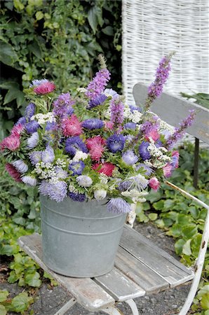 pails garden - Colorful bunch of flowers with Aster Foto de stock - Sin royalties Premium, Código: 689-05611559