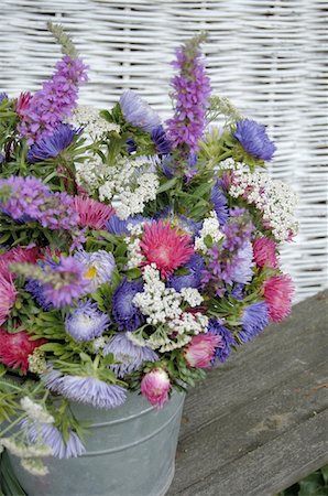 floral decoration - Colorful bunch of flowers with Aster Stock Photo - Premium Royalty-Free, Code: 689-05611564