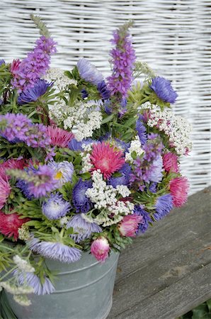 pails garden - Colorful bunch of flowers with Aster Foto de stock - Sin royalties Premium, Código: 689-05611564