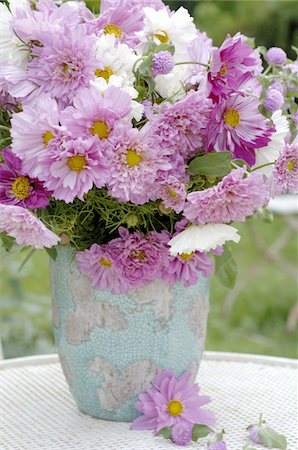 posy - Bunch of flowers with clover and Dahlia Stock Photo - Premium Royalty-Free, Code: 689-05611563