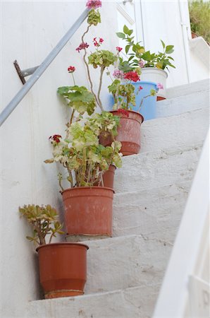 Flower pots standing on stairs Foto de stock - Sin royalties Premium, Código: 689-05611687