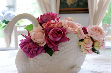 Rosenblüten in Figur Schwan Stockbilder - Premium RF Lizenzfrei, Bildnummer: 689-05611870