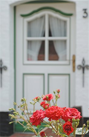Roses in front of house entrance Stock Photo - Premium Royalty-Free, Code: 689-05611908