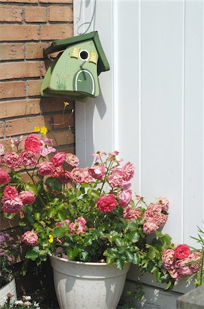 Birdhouse and roses at house entrance Stock Photo - Premium Royalty-Free, Code: 689-05611923