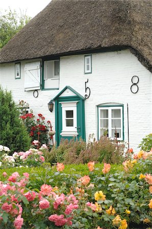 european home garden - Rosebushes in front of a house with thatched roof Stock Photo - Premium Royalty-Free, Code: 689-05611934