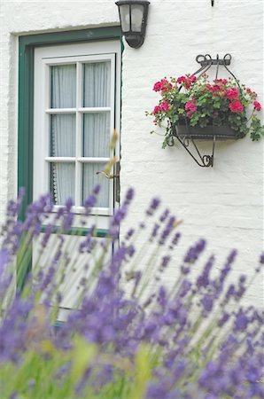 front door plant - Entrance to a country house Stock Photo - Premium Royalty-Free, Code: 689-05611930