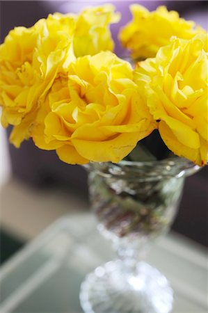 posy - Roses jaunes Photographie de stock - Premium Libres de Droits, Code: 689-05612075