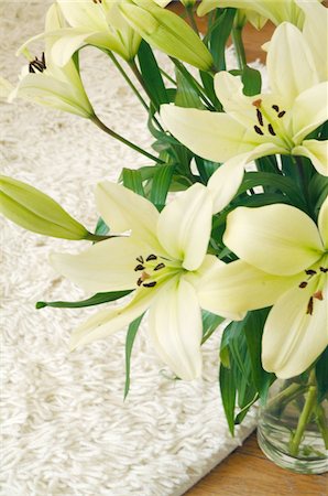 simsearch:689-05611814,k - Bunch of white lilies Foto de stock - Sin royalties Premium, Código: 689-05612198
