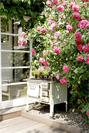 front yard - Rose bush and old oven on terrace Stock Photo - Premium Royalty-Free, Code: 689-05612292