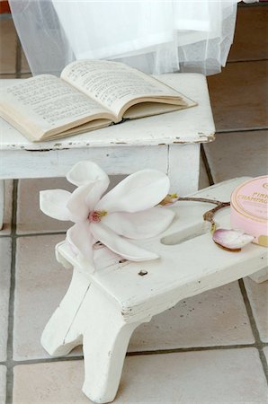 Book, flower and stool on tiled floor Foto de stock - Sin royalties Premium, Código: 689-05612492