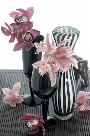 door mat - Orchids in vases Stock Photo - Premium Royalty-Free, Code: 689-05612596