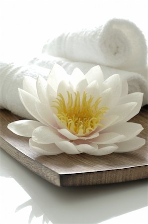 flower calm nobody - White water lily blossom and towels Stock Photo - Premium Royalty-Free, Code: 689-05612599