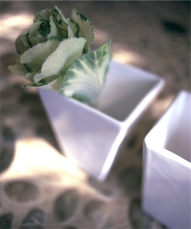 flowers vase above - Ornamental cabbage in vase Stock Photo - Premium Royalty-Free, Code: 689-05612626