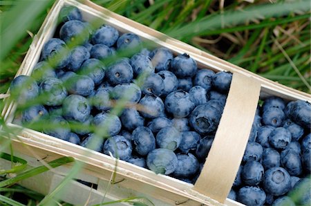 Crate with blueberries in grass Foto de stock - Sin royalties Premium, Código: 689-05612707