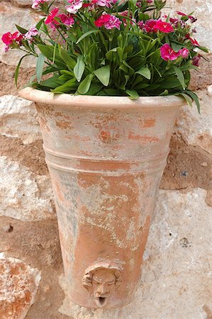 Carnations in a terracotta pot Stock Photo - Premium Royalty-Free, Code: 689-03124127