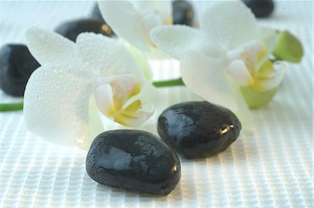 spa decoration - Stones and orchid blossoms Stock Photo - Premium Royalty-Free, Code: 689-03124773