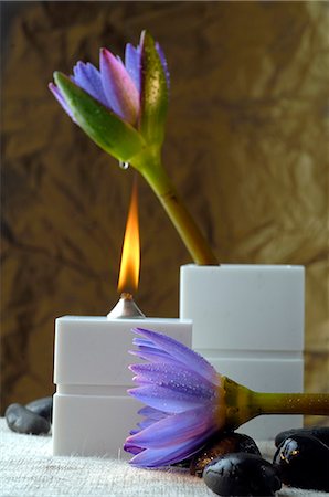 spa decoration - Oil lamp and blue blossoms Stock Photo - Premium Royalty-Free, Code: 689-03124784