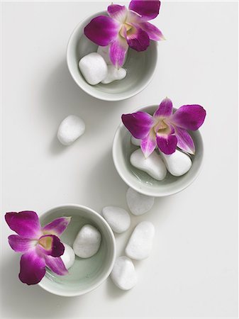 dendrobium orchid - Flowers decorated in tiny bowls,accompanied by pebbles Stock Photo - Premium Royalty-Free, Code: 689-03124835
