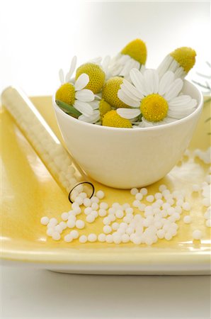 Camomile blossoms and globules Stock Photo - Premium Royalty-Free, Code: 689-03125564