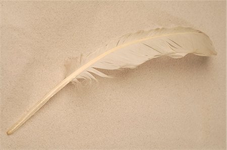 simsearch:689-03125806,k - Feather in the sand Stock Photo - Premium Royalty-Free, Code: 689-03125770