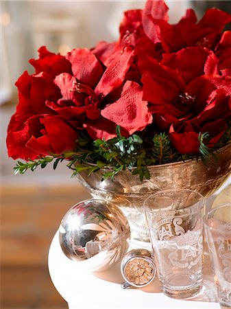 simsearch:689-03126188,k - Red amaryllis on the Christmas table Foto de stock - Royalty Free Premium, Número: 689-03126202
