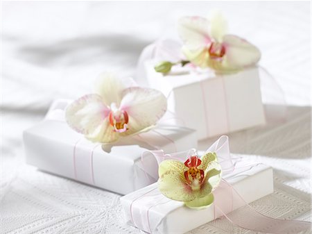 Orchid blossoms on white gifts Stock Photo - Premium Royalty-Free, Code: 689-03126303