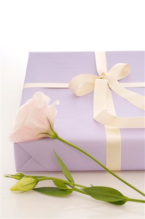 Gift with white flower Stock Photo - Premium Royalty-Free, Code: 689-03126328